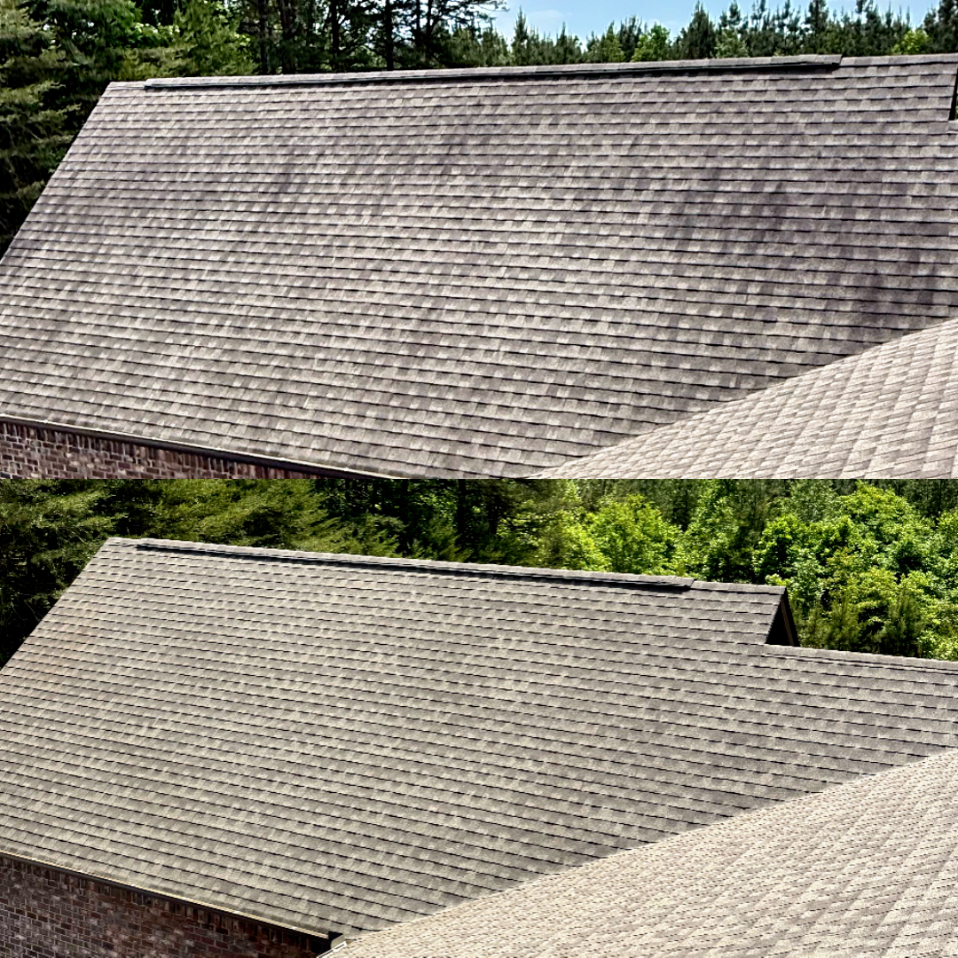 Roof Cleaning